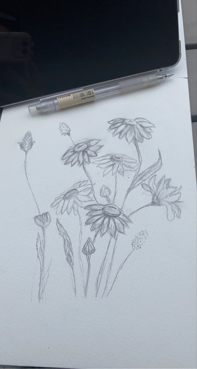 a pencil drawing of flowers on paper next to a cell phone