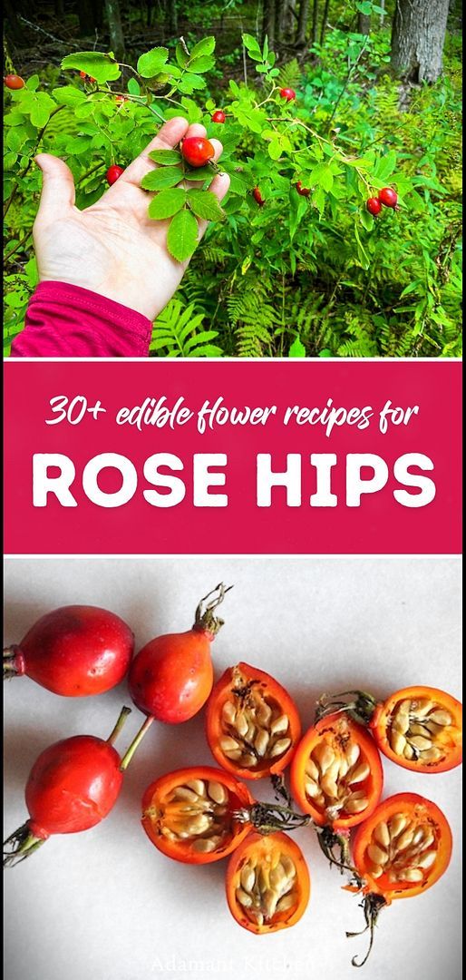 the cover of 30 edible flower recipes for rose hipss, including tomatoes and other vegetables