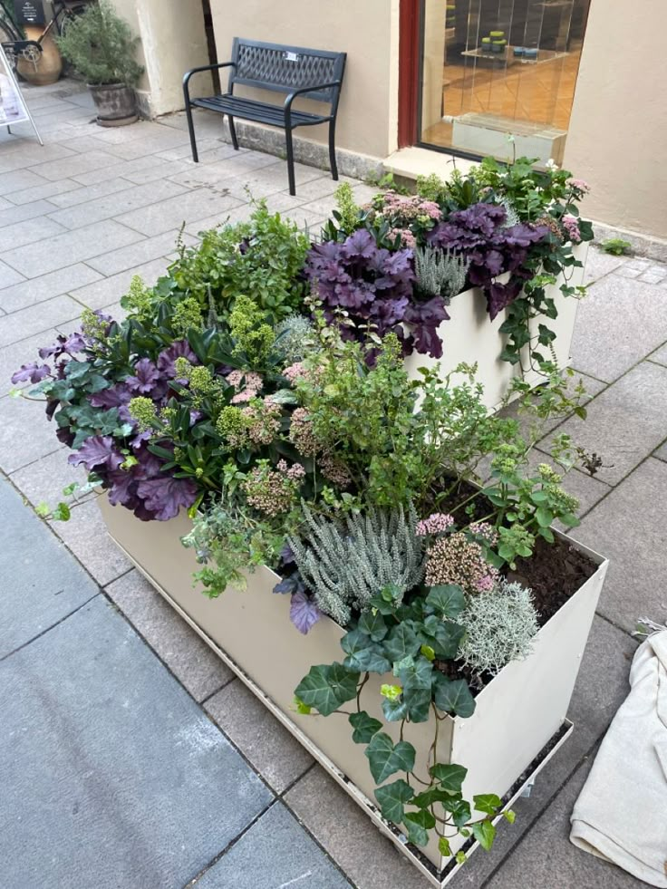 several different types of plants growing in a planter on the side of a building