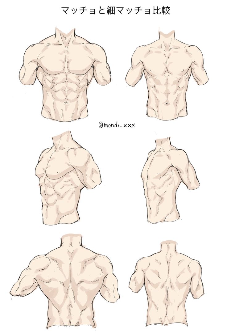 the back view of a man's torso and chest, with different angles to show it