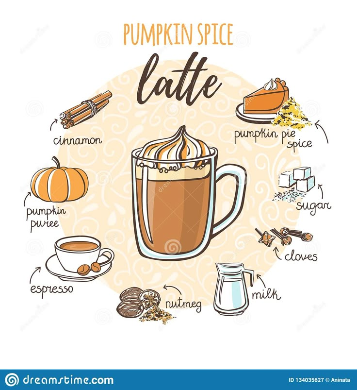 pumpkin spice latte with ingredients to make it in hand drawn style on white background