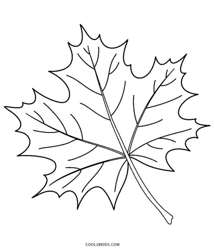 a maple leaf coloring page for kids