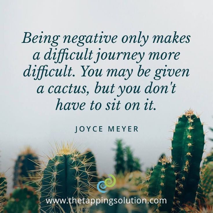 a cactus with the quote being negative only makes a difficult journey more difficult you may be given a cactus, but you don't have to sit on it