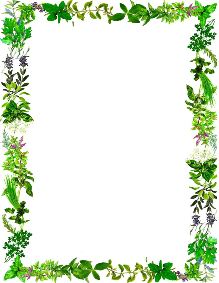 a square frame with green leaves and flowers