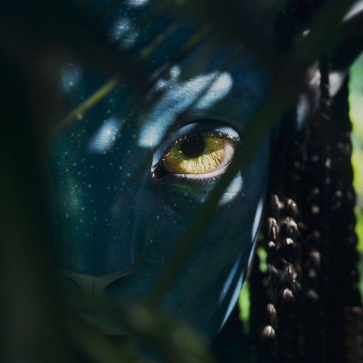 an animal's eye is seen through the branches of a tree in this close up photo