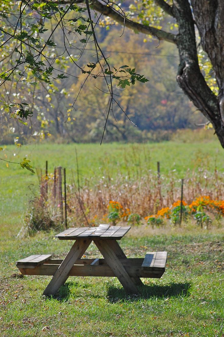 a wooden picnic table sitting in the middle of a field next to a large tree