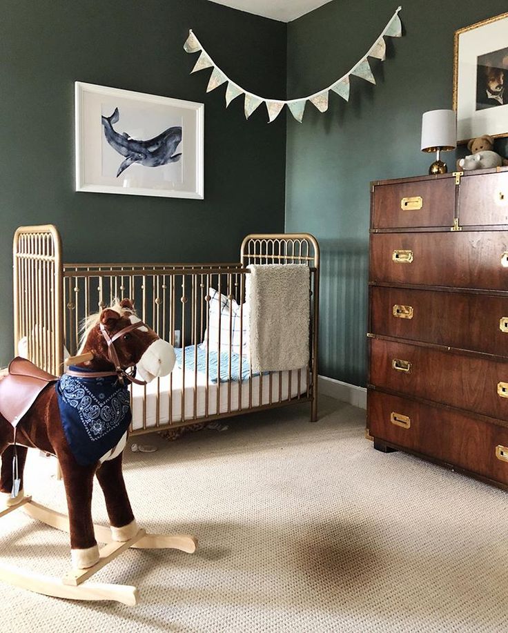 a brown dog wearing a blue shirt standing in front of a crib and dresser