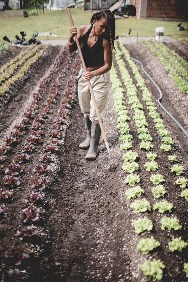 a woman standing in the middle of a garden holding a stick and digging for lettuce