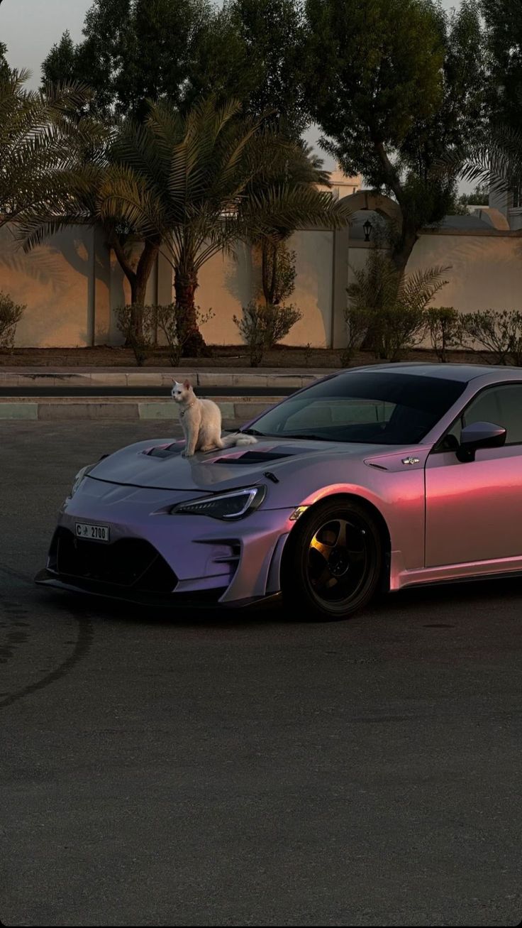 a cat sitting on top of a car in the middle of an empty parking lot