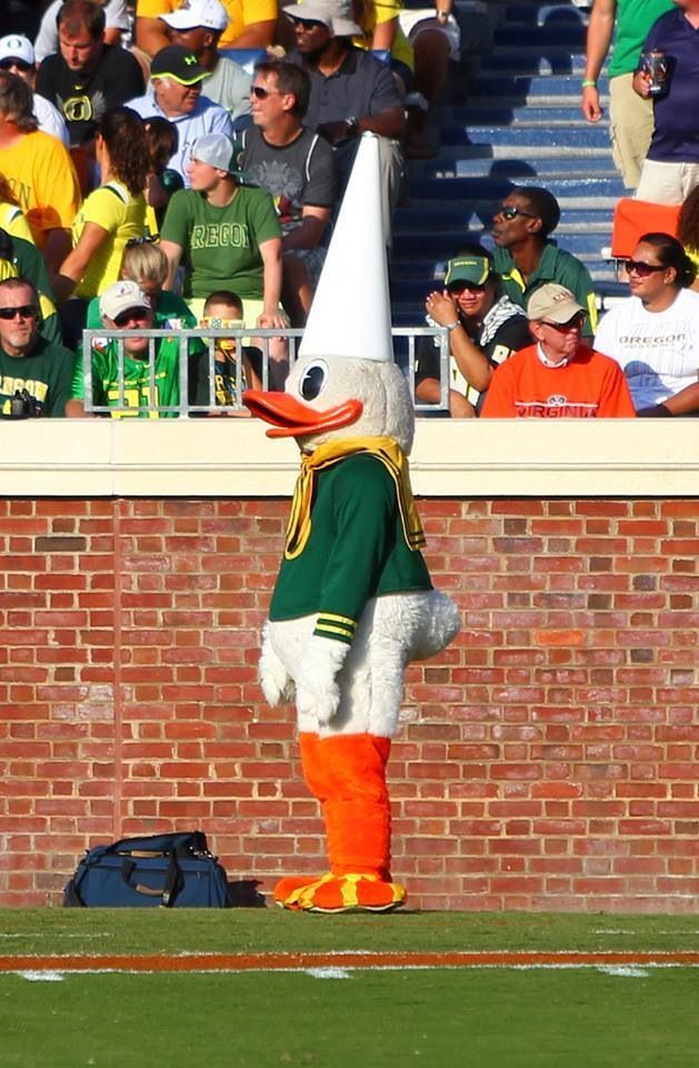 a mascot dressed in green and yellow stands on the sidelines at a football game