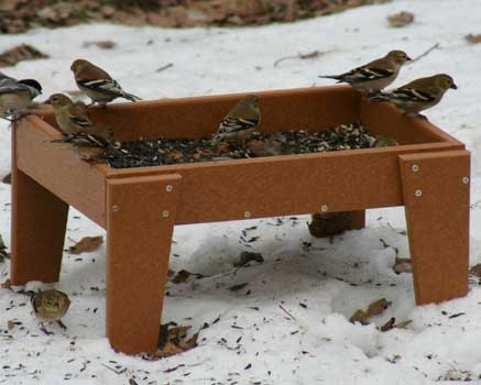 several birds are sitting on top of a table in the snow and eating from it's tray