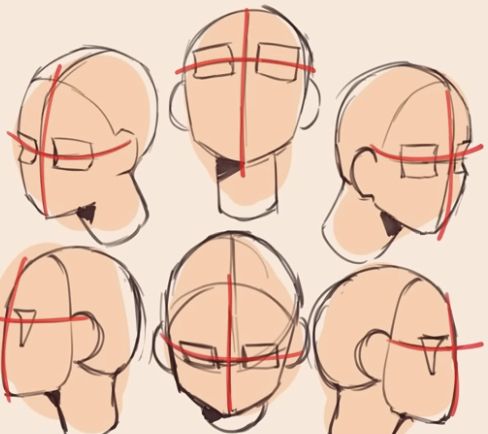 an image of a person's head with different angles and lines drawn on it