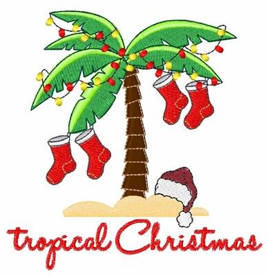 a palm tree with stockings hanging from it's branches and the words tropical christmas