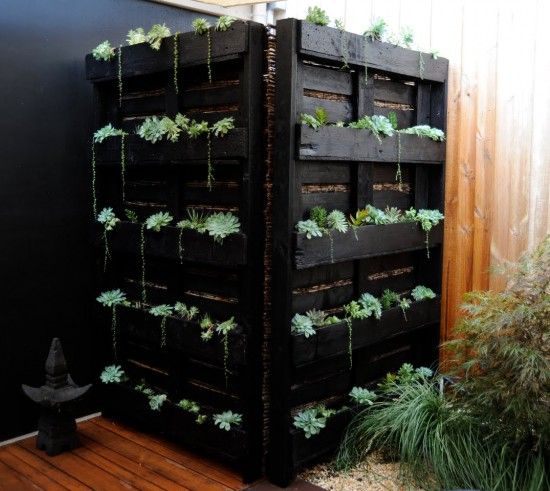 an image of some plants growing out of crates