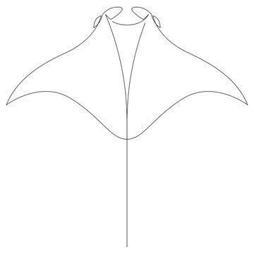 a line drawing of a manta ray