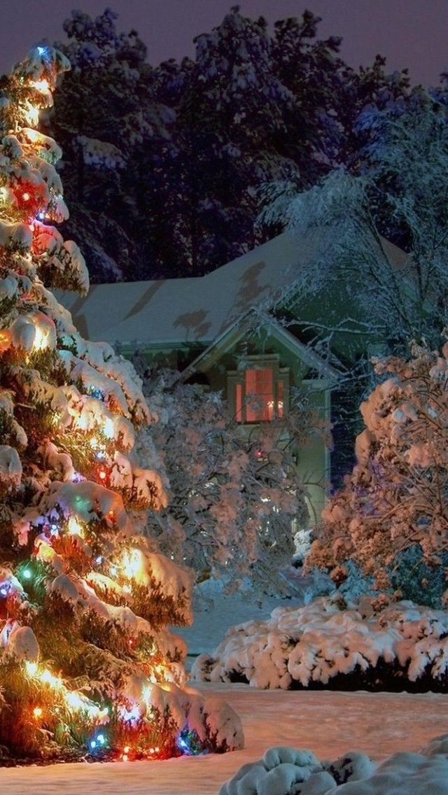 a lit up christmas tree in the snow