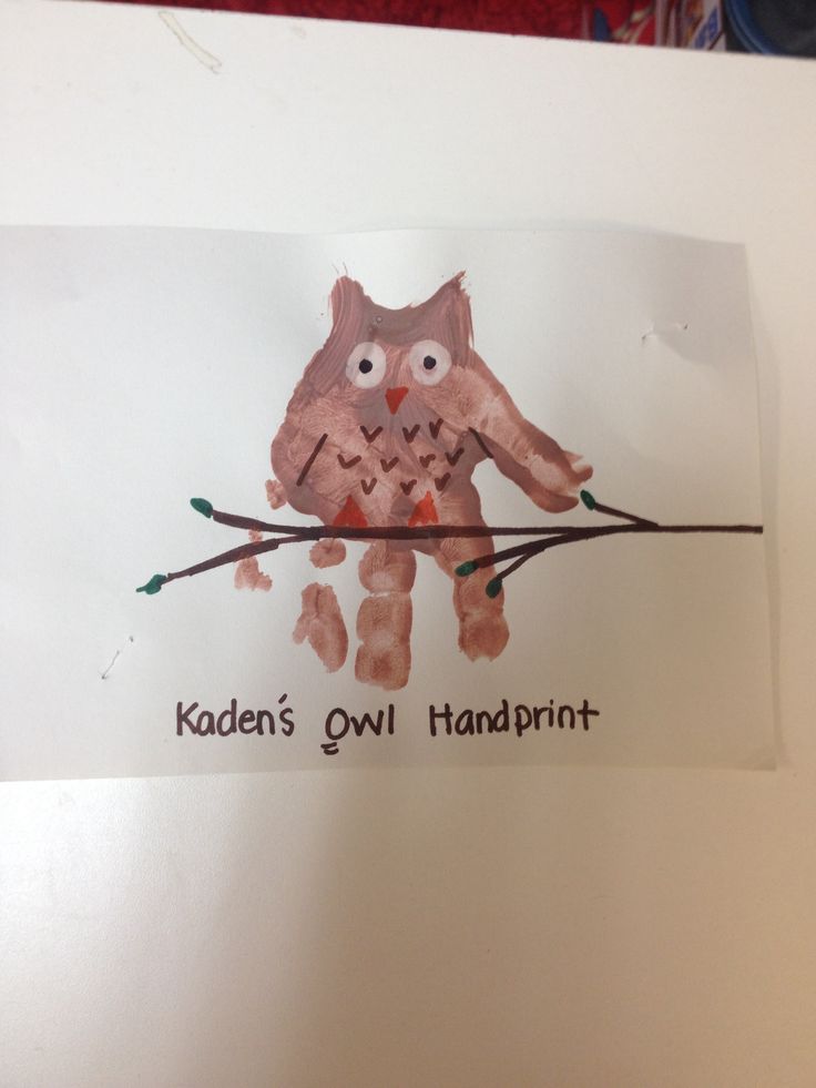 an owl is sitting on a branch with the words kaden's owl handprint