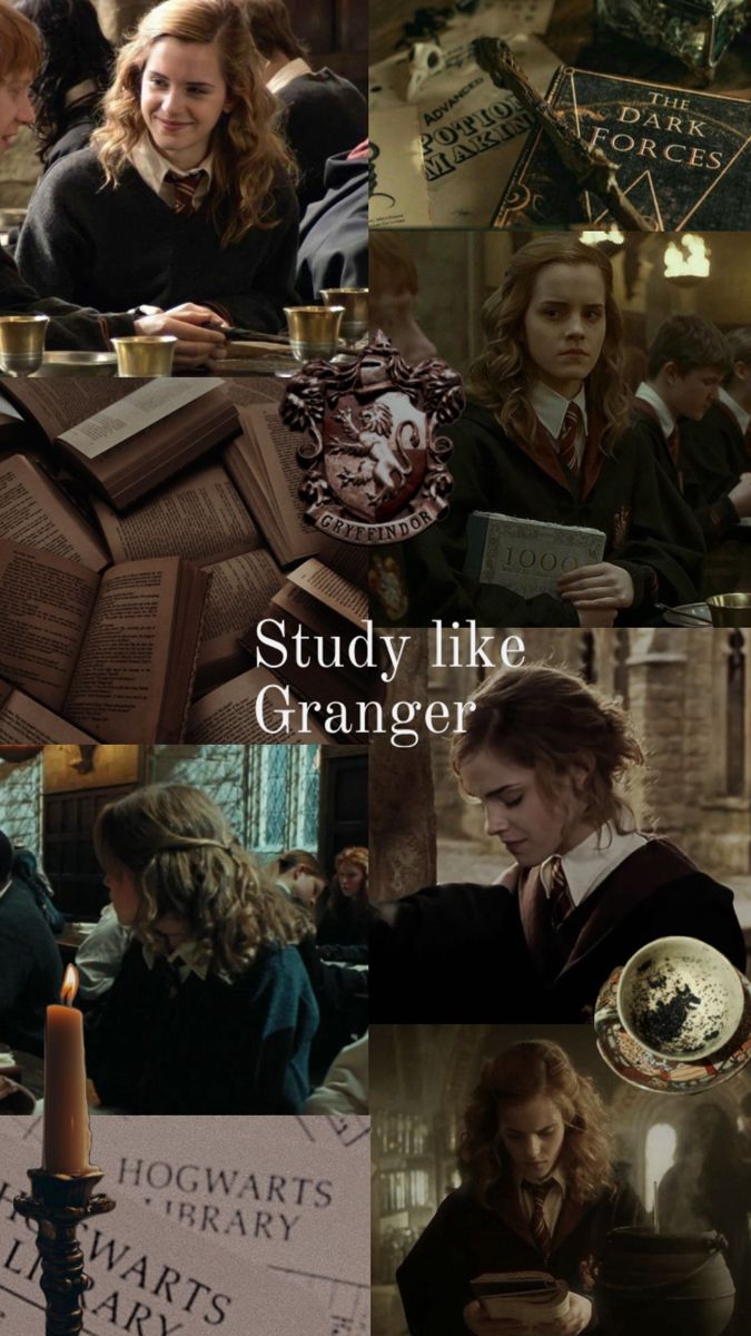 the collage shows harry potter, hermigan and others in various scenes with text that reads study like grunger