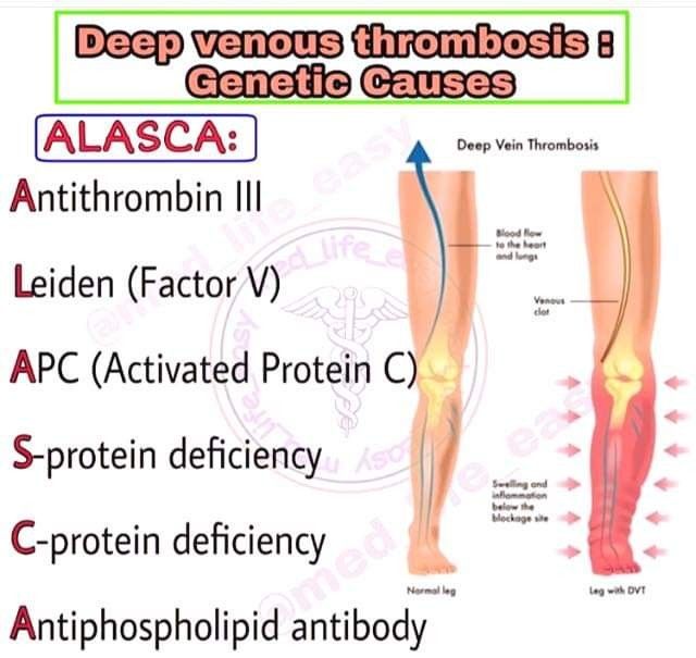 the diagram shows how deep veins are used to treat and prevent them from injury