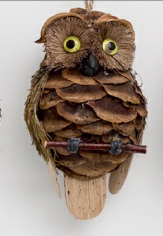 an owl figurine made out of pine cones on a stick with two eyes