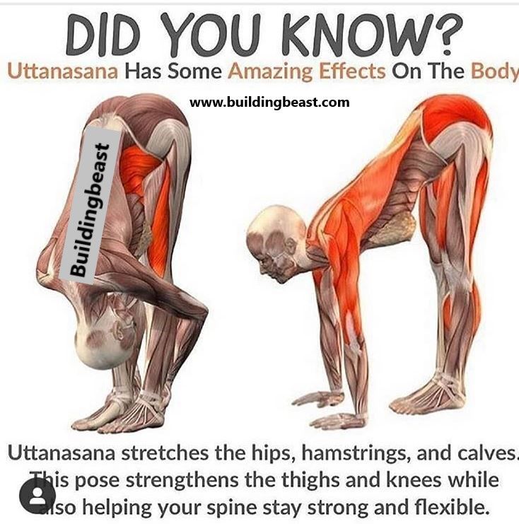 an image of a man doing exercises with the words, did you know? uthanasana has some amazing effects on the body