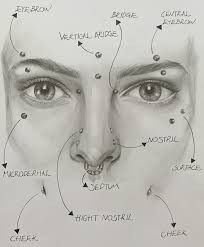 a drawing of a woman's face with her nose and eyes labeled in different parts