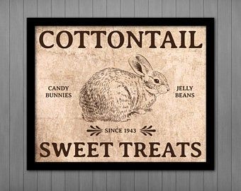 a sign that says cottontail sweet treats with a rabbit on it's side