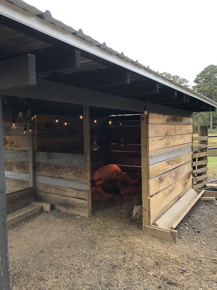 a barn with some animals inside of it