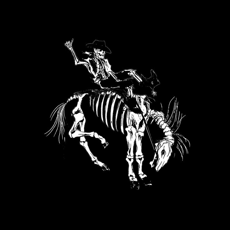 a skeleton riding on the back of a horse