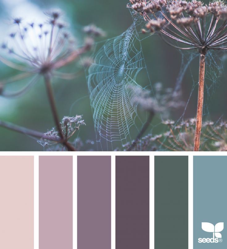 a color palette with different shades of purple and green, including the center part of a dandelion