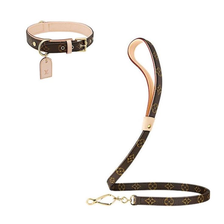 a brown dog leash and collar with gold hardwares on it's side, attached to a white background