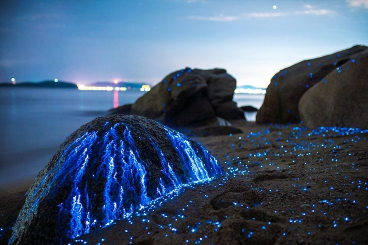 blue lights on rocks near the ocean at night