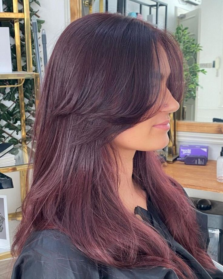 14 Stunning Plum Coloured Hair Ideas in 2024 Ion Plum Hair Color 4vv, Plum And Red Hair, Prune Hair Color, Subtle Plum Hair, Plum Hair On Brown Skin, Brown Plum Hair Color, Violet Auburn Hair, Red Colour Hair Ideas, Dark Plum Purple Hair