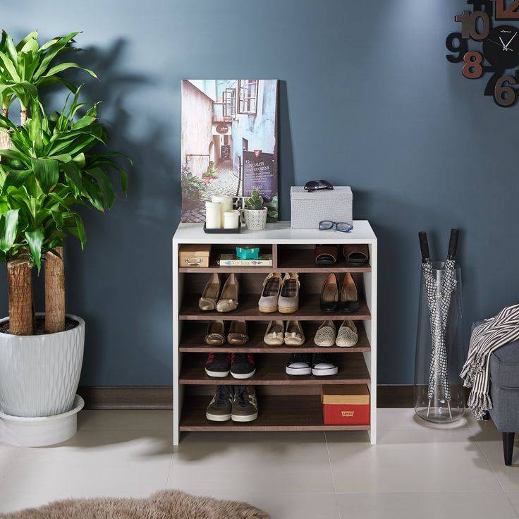 there is a shoe rack with many pairs of shoes on it next to a potted plant