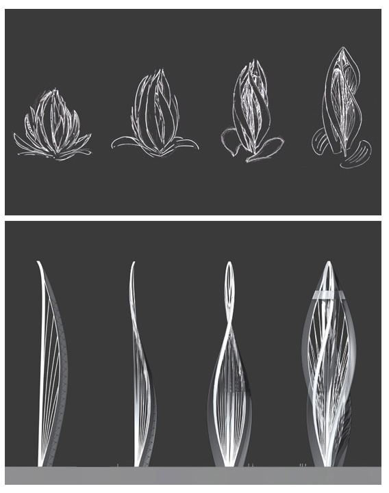 an image of different shapes and sizes of flowers