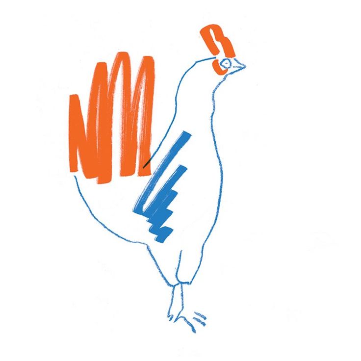 a drawing of a chicken with the letter n in it's beak