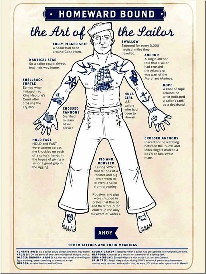 the anatomy of a man's body and hands