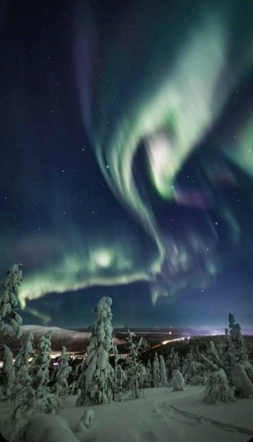 the aurora bore is seen in the sky above snow covered trees