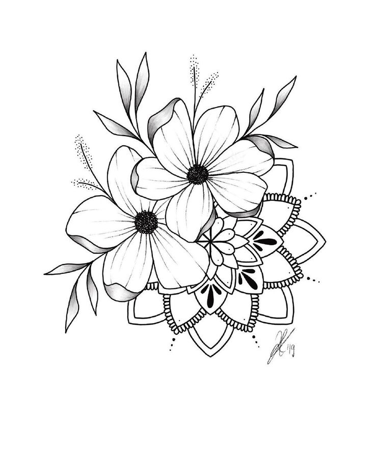 a black and white drawing of flowers with leaves on the bottom half of their petals