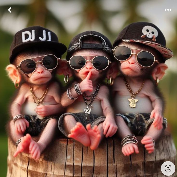 three baby monkeys wearing sunglasses and hats sitting on top of a barrel