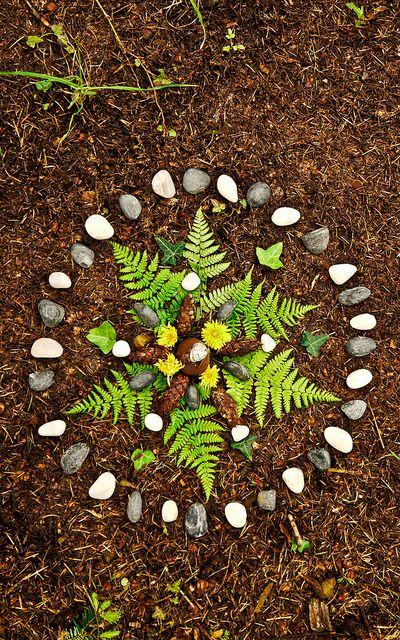 a circle made out of rocks and leaves on the ground with grass in the middle