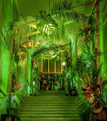 the stairs are lit up with green lights and palm trees on either side of them