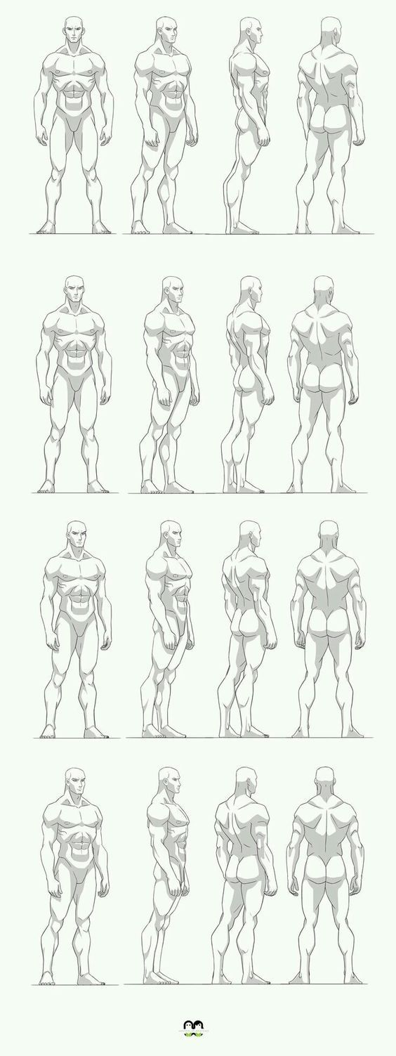 an animation character's body chart for the animated version of teenage mutant ninjas