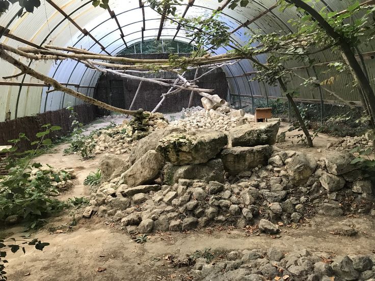 an animal enclosure with rocks and trees in it