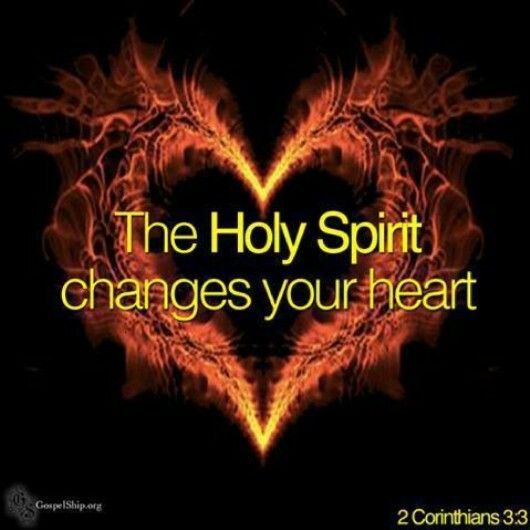 Romans 5:5 And hope makes not ashamed; because the love of God is shed abroad in our hearts by the Holy Ghost which is given to us. Romans 5 5, Woord Van God, Ayat Alkitab, Jesus Christus, Holy Ghost, The Holy Spirit, Jesus Is Lord, God Jesus, Lord Jesus Christ