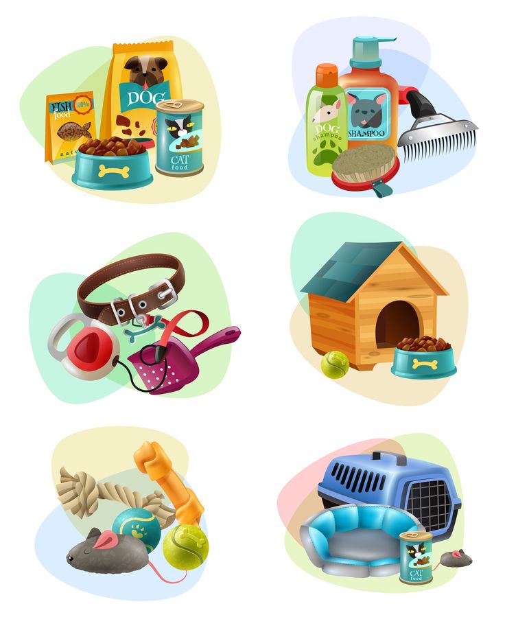 four different types of pet supplies on a white background - miscellaneous objects / animals characters