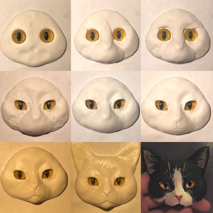 four different pictures of cats with yellow eyes and one white cat's head in the middle