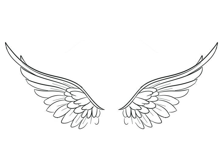 an outline of two wings on a white background