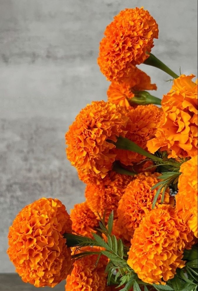 an arrangement of orange flowers in a vase on a table with concrete wall behind it