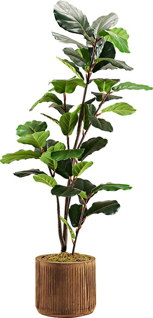 a potted plant with green leaves in it